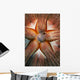 Hawaii, Maui, Rare Sighting Of A Blue-Spotted Sea Urchin Wall Mural