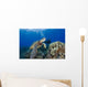 Endangered Green Sea Turtle Wall Mural