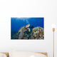 Endangered Green Sea Turtle Wall Mural