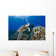 Endangered Green Sea Turtle Wall Mural