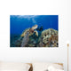 Endangered Green Sea Turtle Wall Mural
