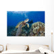 Endangered Green Sea Turtle Wall Mural