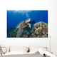 Endangered Green Sea Turtle Wall Mural