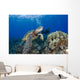 Endangered Green Sea Turtle Wall Mural