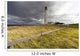 Long Grass Blowing In The Wind Beside Barns Ness Lighthouse Wall Mural