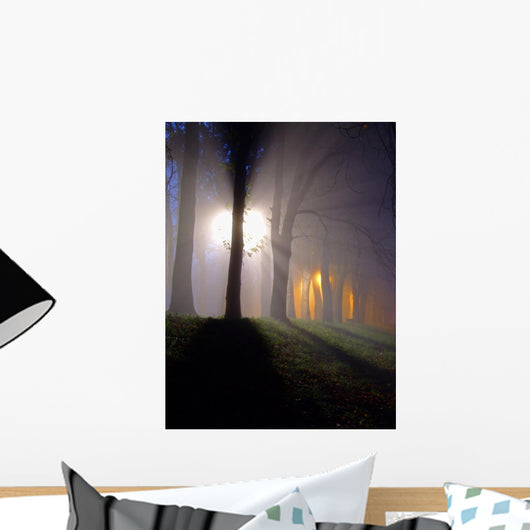 raylights Wall Mural