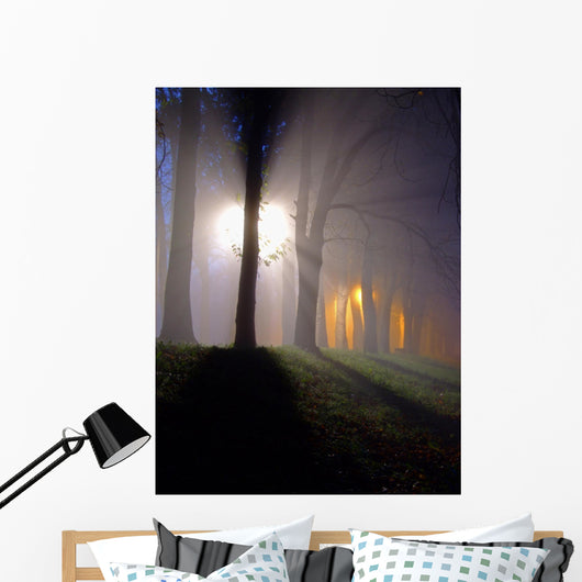 raylights Wall Mural