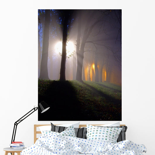 raylights Wall Mural