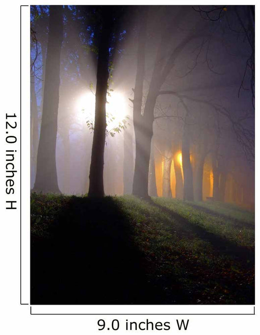 raylights Wall Mural