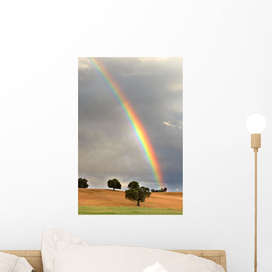rainbow Wall Mural