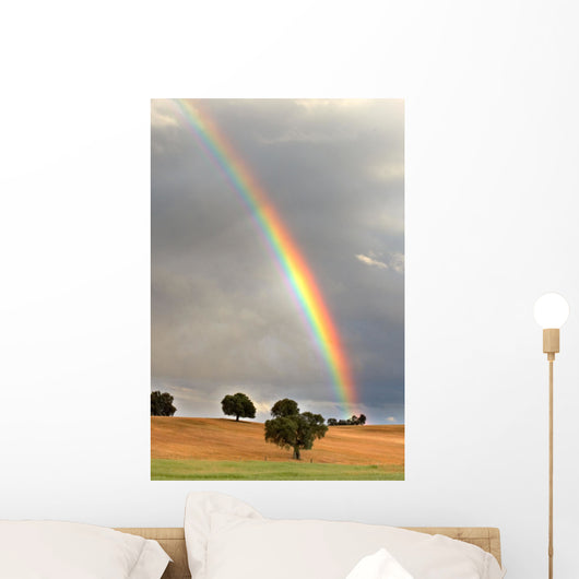 rainbow Wall Mural