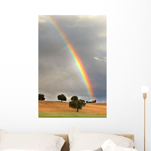 rainbow Wall Mural