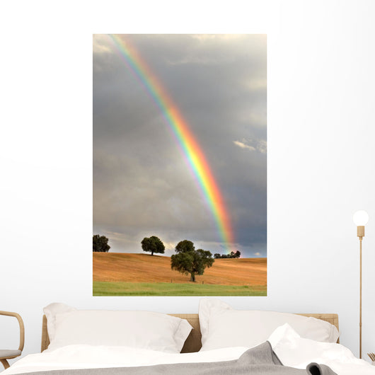 rainbow Wall Mural