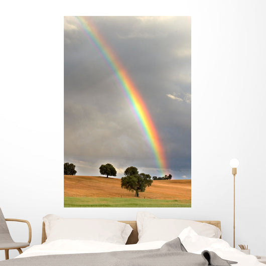 rainbow Wall Mural