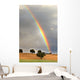 rainbow Wall Mural