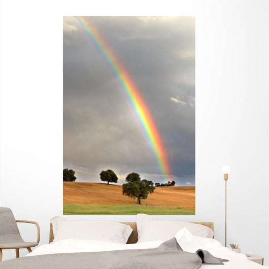 rainbow Wall Mural