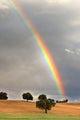 rainbow Wall Mural