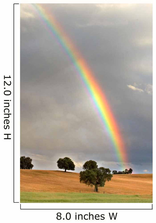 rainbow Wall Mural
