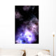 stars Wall Mural