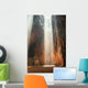 Vietnam Montagne Marbre Wall Decal
