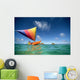 Hawaii, Oahu, Lanikai, Man In Colorful Sailing Canoe Wall Mural