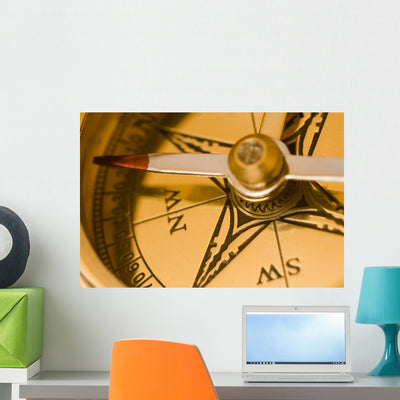 Old Style Brass Compass Wall Mural shown on a wall
