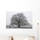 chêne noir et blanc Wall Mural