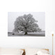 chêne noir et blanc Wall Mural
