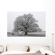 chêne noir et blanc Wall Mural