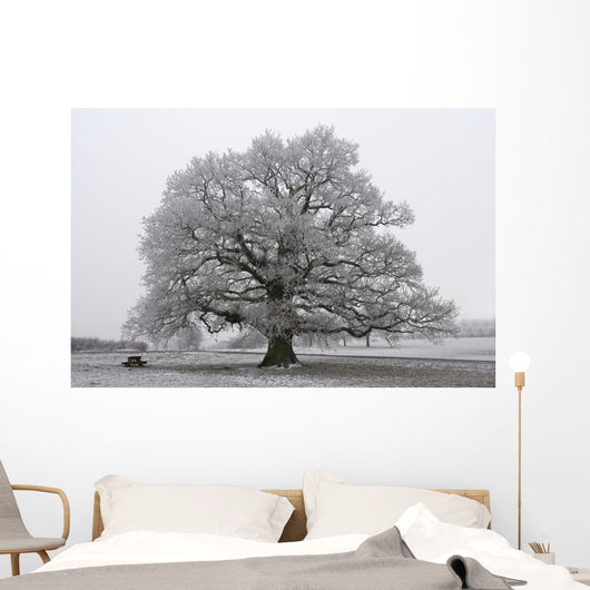 chêne noir et blanc Wall Mural