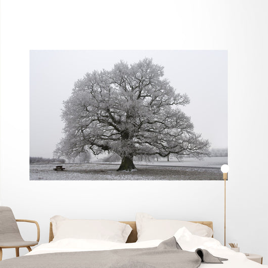 chêne noir et blanc Wall Mural