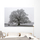 chêne noir et blanc Wall Mural