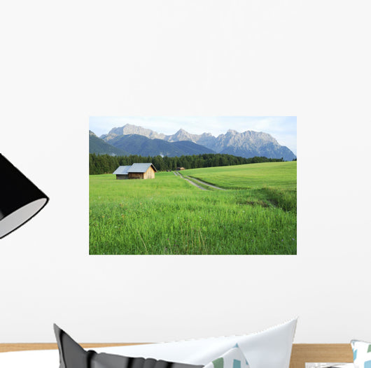 Pasture in the alps Wall Mural
