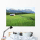 Pasture in the alps Wall Mural