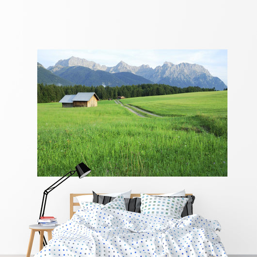Pasture in the alps Wall Mural