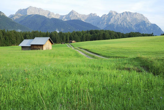 Pasture in the alps Wall Mural