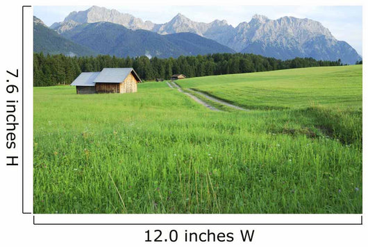 Pasture in the alps Wall Mural