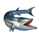 Barracuda Wall Decal