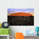 Dramatic Skies Wall Mural
