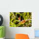 Clown Anemonefish Hiding In Anemone Wall Mural
