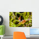Clown Anemonefish Hiding In Anemone Wall Mural