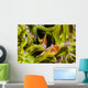 Clown Anemonefish Hiding In Anemone Wall Mural