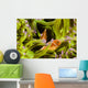 Clown Anemonefish Hiding In Anemone Wall Mural