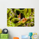 Clown Anemonefish Hiding In Anemone Wall Mural