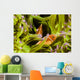 Clown Anemonefish Hiding In Anemone Wall Mural