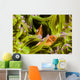 Clown Anemonefish Hiding In Anemone Wall Mural