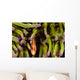 Clown Anemonefish Hiding In Anemone Wall Mural