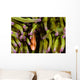 Clown Anemonefish Hiding In Anemone Wall Mural