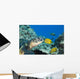 USA, Green Sea Turtle Endangered Species And Butterfly Fish Wall Mural