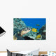 USA, Green Sea Turtle Endangered Species And Butterfly Fish Wall Mural